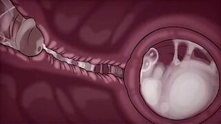A Night Alone